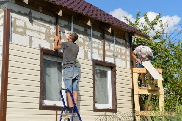 Best Brick Veneer Siding  in Lexico, CA